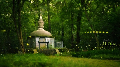 唯美灵谷寺夏季萤火虫