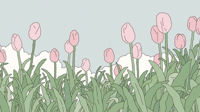 夏日 粉色郁金香