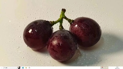 葡萄熟了  主题