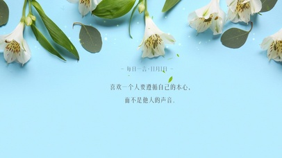 4k简约花草绿植壁纸