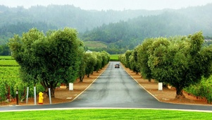 一场秋雨一场凉