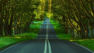 路