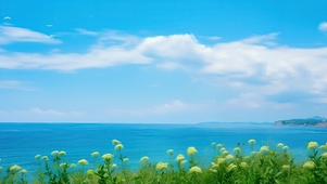 4k海边治愈风景
