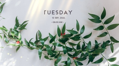 4k高清温暖阳光系列