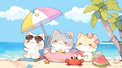 海边可爱的猫咪