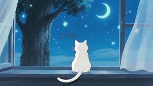 夜晚窗台猫咪