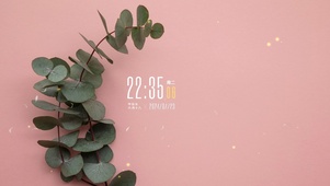 纯色极简绿植桌面