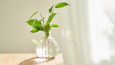 简约绿植文艺桌面