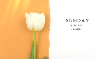 4k高清极简壁纸