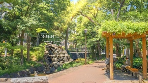 唯美治愈夏日公园