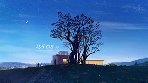 4k 治愈唯美夜晚星空