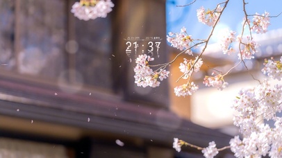 治愈唯美盛开的茶树花