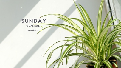 简约绿植阳光桌面