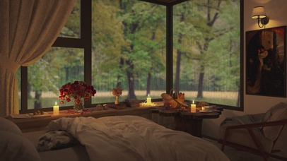 唯美治愈森林雨天房间