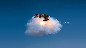 云朵上的猫咪