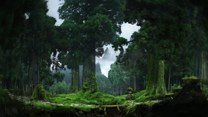 4k 治愈护眼雨天绿林