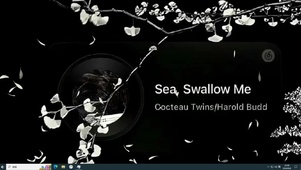 蒲公英  主题