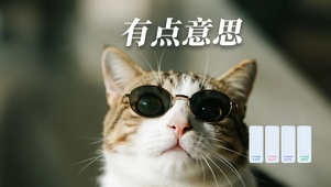 有点意思猫星人