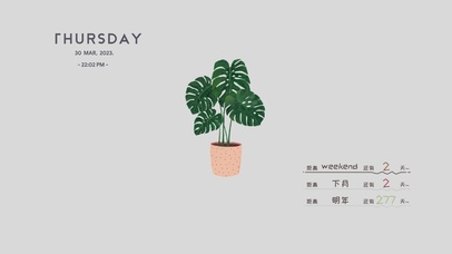 4k简约ins绿植系列