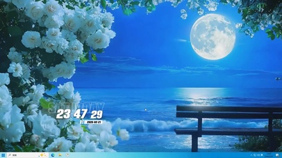 夜景树木海景桌面主题