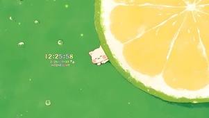 清新夏日猫咪