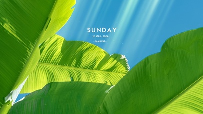 温馨夏日护眼场景