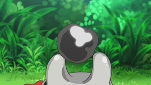 木木枭和美录坦