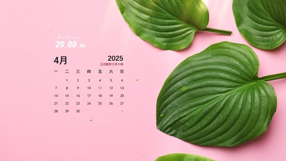 4k简约绿植桌面