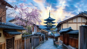 唯美治愈樱花街道（带真实时间）