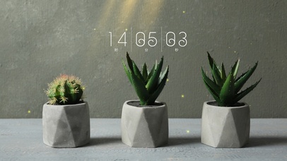 简约系ins绿植壁纸