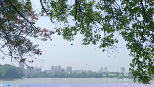 夏日游玩