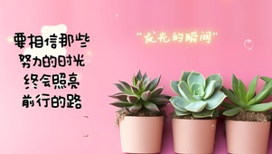 唯美多肉