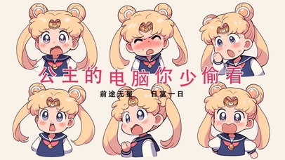 公主的电脑你少偷看