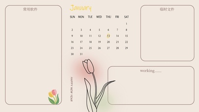 郁金香分区壁纸