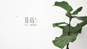 4k高清极简ins风格系列