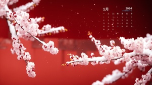 雪落樱花