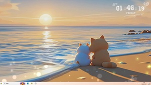 一对情侣猫猫 海边赏日落