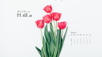 4k治愈简约桌面