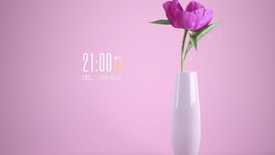 4k高清简约小清新系列