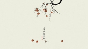 柿柿好运
