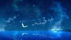 飞鸟与星空