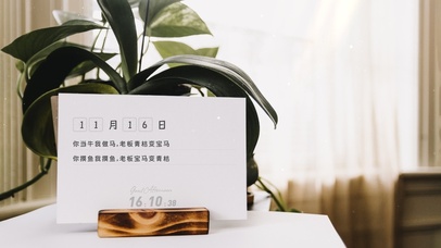 （免费）4K绿植每日语录文艺