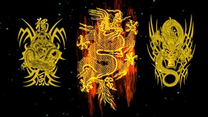 4k金龙
