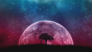 梦幻星空