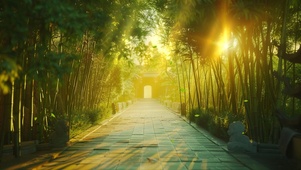 竹林绿意