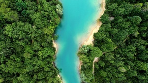 细流