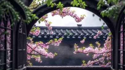 江南窗外垂丝海棠