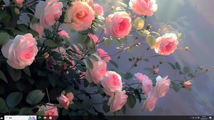 蔷薇花下