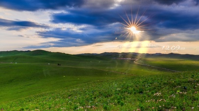 4k 治愈唯美草原日落