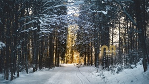 雪中小路